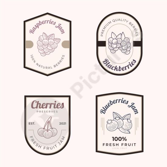 Set of hand-drawn jam badges with a vintage engraved style, perfect for organic food brands, packaging, or homemade product labels.