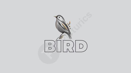 Elegant abstract bird logo featuring smooth lines and a modern style. Perfect for branding, nature projects, wellness, or creative businesses.