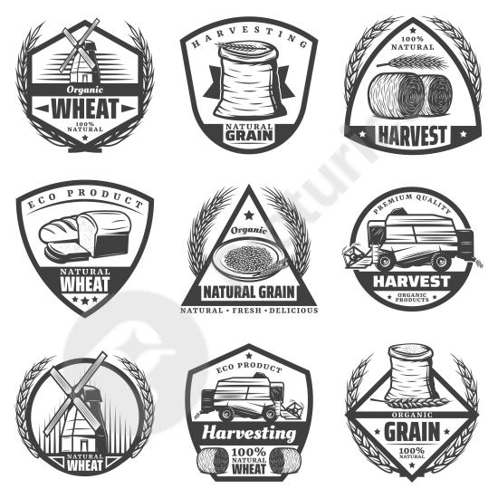 Monochromatic vintage harvest labels featuring wheat, flour, hay bales, and farm symbols, ideal for agricultural branding and rustic packaging designs...