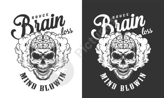 Illustration of a human skull with a labeled brain, ideal for educational materials, anatomy visuals, medical graphics, and scientific design projects...